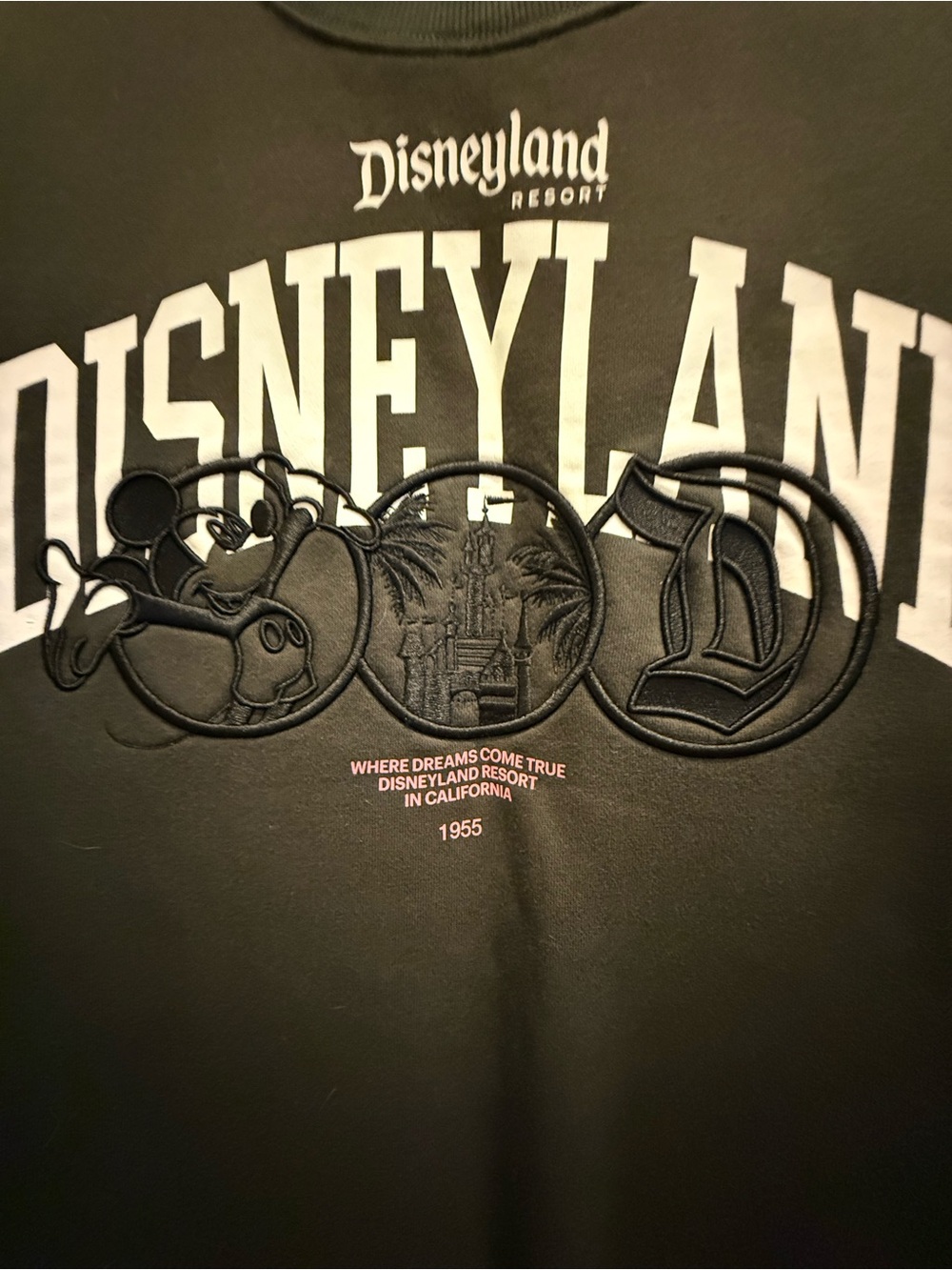 Disneyland Graphic Crew Sweatshirt - Picture 2 of 7